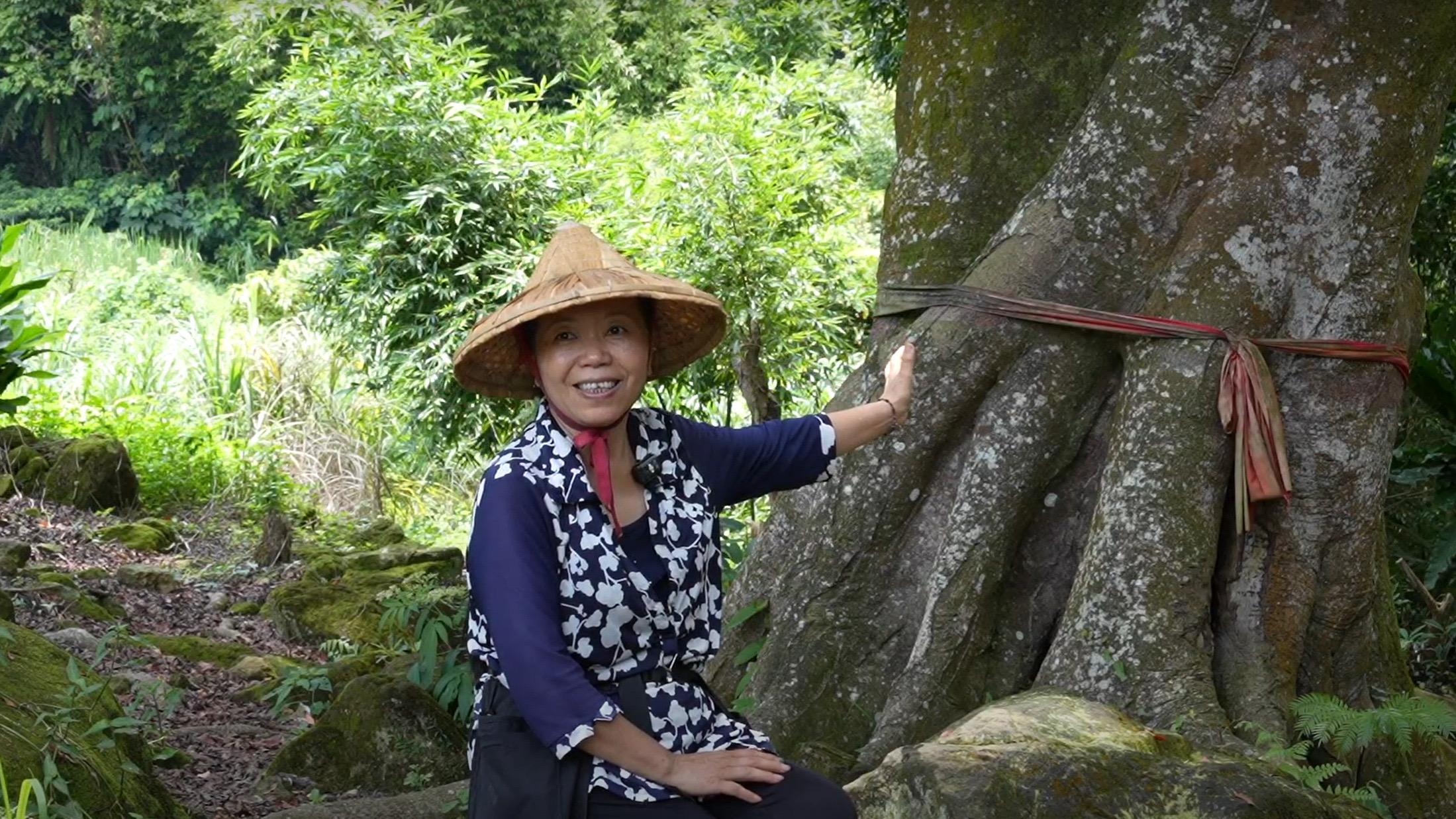 林家草厝2 林家草厝2